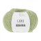 REGINA - OLIVE