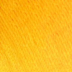 AMAZING Mustard