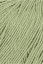 CLASSIC SILK - LIME