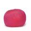 Arctic Pearl - Coral 08