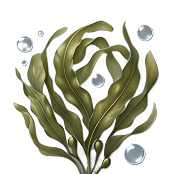 Příze se Seacell - z mořských řas