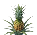 Příze z inovativních vláken - ananas aj.