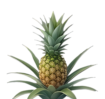 Příze z inovativních vláken - ananas aj.