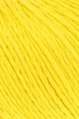 SUNSHINE - SUNFLOWER