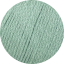 Arctic Pearl - Agave 16