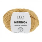 MERINO+