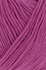 OCEANIA - FUCHSIA