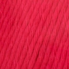 EPIC - Raspberry