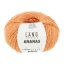 ANANAS - APRICOT