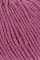 MERINO 120 - NELKE